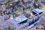 八夫坐镇2024年云南重点高原湖泊水质稳定 抚仙湖达Ⅰ类
