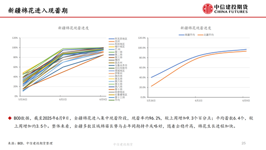 【棉花纺谈】供应端阶段性缩量 疆棉(🌖)基差坚挺
